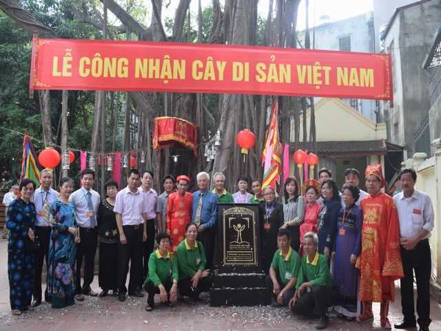 Hà[-]Nội:[-]Cây[-]Đa[-]cổ[-]thụ[-]trong[-]khuôn[-]viên[-]đình[-]Đại[-]Yên[-]được[-]vinh[-]danh[-]Cây[-]Di[-]sản[-]